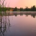 IMG_8210.jpg