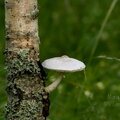 IMG_4193.jpg