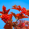IMG_5376.jpg