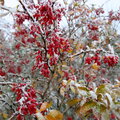 IMG_5802.jpg