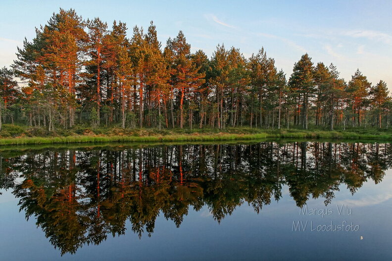 IMG_3528dxo.jpg
