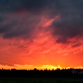 IMG_3620.jpg