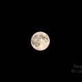 IMG_6555.jpg