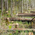 IMG_3042.jpg