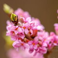 IMG_9403.jpg