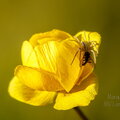 IMG_1900.jpg