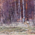 IMG_8891.jpg