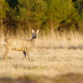IMG_9546.jpg