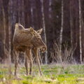 IMG_9911.jpg