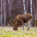 IMG_9917.jpg