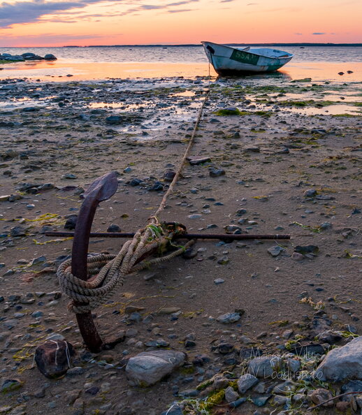 IMG_1236-HDR.jpg