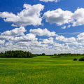  Pilvetupsudega roheline maastik