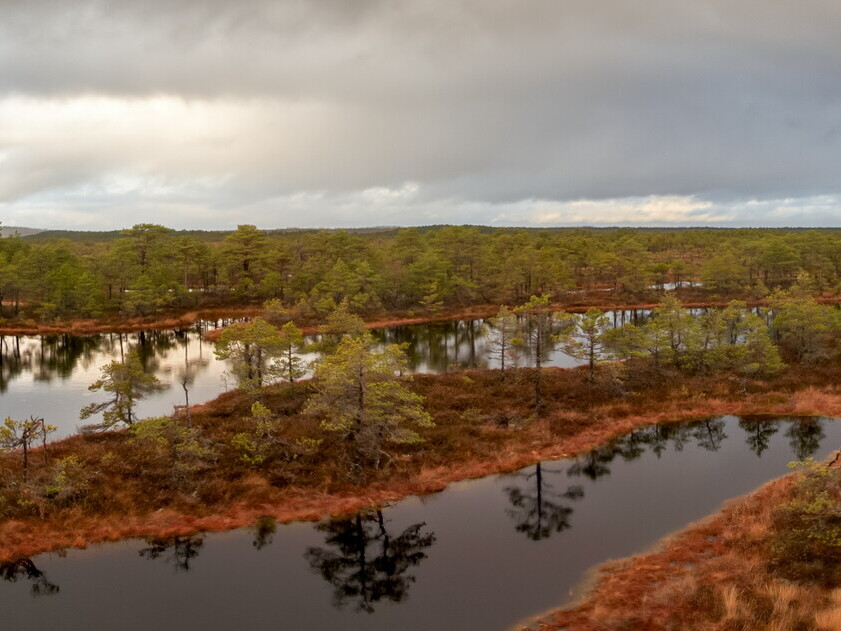 Suru raba panoraam