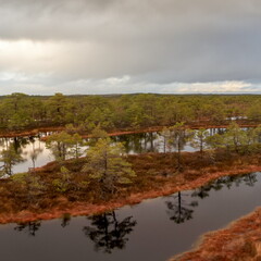 Suru raba panoraam