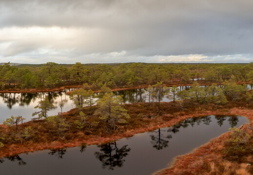 Suru raba panoraam