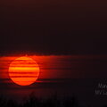 IMG_9337.jpg