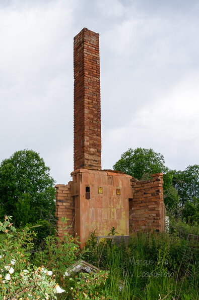 IMG_2539.jpg