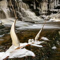 IMG_8540b.jpg