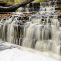IMG_5173.jpg