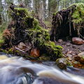 IMG_6569.jpg