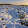 IMG_6682.jpg