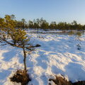 IMG_6686.jpg