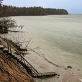 IMG_7781.jpg