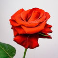 IMG_7567.jpg
