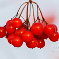 IMG_5881.jpg