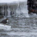 IMG_8167.jpg