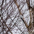 IMG_8278.jpg
