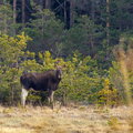 IMG_9107.jpg