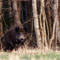 IMG_9699.jpg