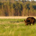 IMG_0046.jpg