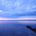 IMG_9973.jpg