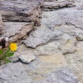 IMG_9923.jpg