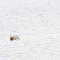 IMG_8460.jpg