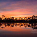 IMG_0275-HDR.jpg