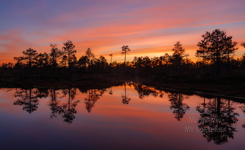 IMG_0296-HDR.jpg