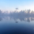 IMG_0342.jpg