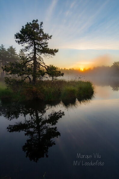 IMG_0379-HDR.jpg