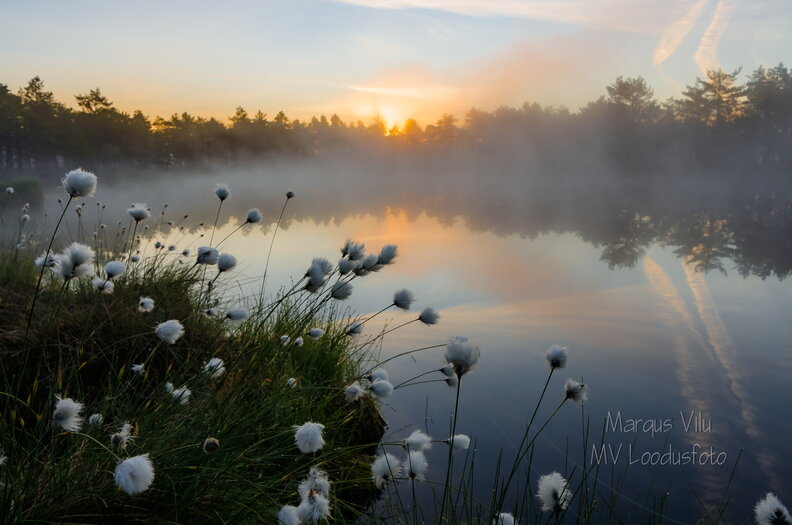 IMG_0387-HDR.jpg