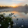 IMG_0387-HDR.jpg