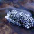 IMG_7390.jpg