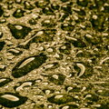 IMG_0067.jpg