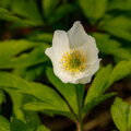 IMG_1887.jpg