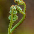IMG_2482.jpg