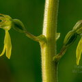 IMG_3759.jpg