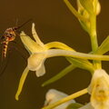 IMG_4298.jpg