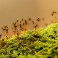 IMG_7253.jpg